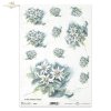 szarotka, kwiat, ogród, łąka, wiosna, autorka grafiki Maria Kopeć, R902, edelweiss, flower, garden, meadow, spring, Edelweiß, Blume, Garten, Wiese, Frühling, edelweiss, flor, jardín, prado, primavera